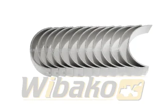Panewki główne 0.50 Mahle D906/D916/D926 439HS21054050