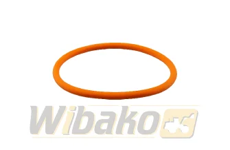 O-ring wtryskiwacza wbk 193736