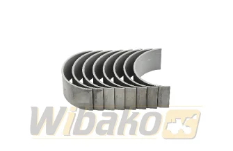 Panewki korbowodowe 0.25 Mahle D904/D914/D924 439PS20910025