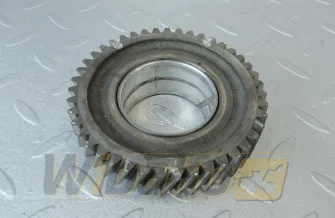 Koło zębate pośrednie Z= 43, D= 96 mm do silnika Yanmar 3TNV84T 119802-25100