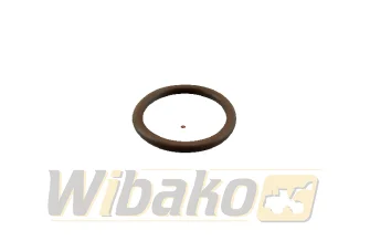 O-ring prowadnicy wtrysku wbk 10342770