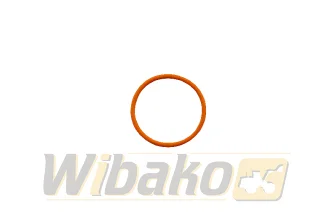 O-ring wtryskiwacza KMP 193736