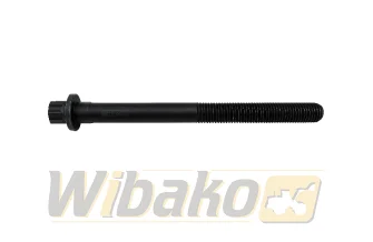 Śruba głowicy M16x2.0x195x100 wbk 10131573