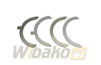 Panewki oporowe 0.20 wbk 1013 / 2013 02931883
