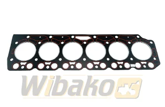 Uszczelka głowicy Silnika wbk BF6M1012 04209896