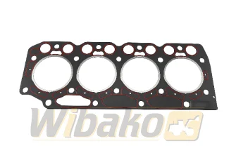 Uszczelka głowicy Silnika wbk BF4M1012 04209891