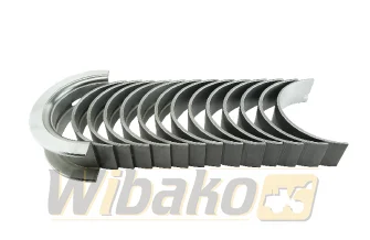 Panewki główne 0.25 Kolbenschmidt 77798610