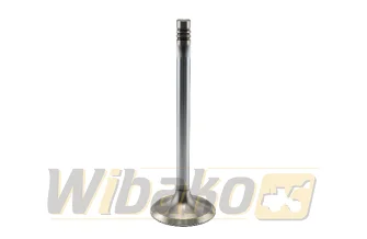 Zawór ssący wbk BF1011 04170898
