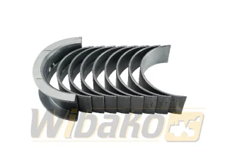 Panewki główne 0.50 Kolbenschmidt 77800620