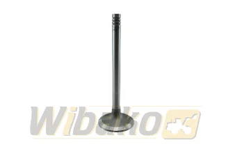 Zawór ssący TRW BF4M2012 / BF6M2012 22302