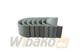 Panewki korbowodowe STD Kolbenschmidt 77686600