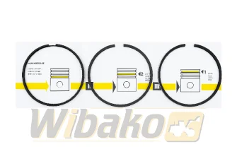 Pierścienie tłokowe Silnika wbk D934/D936 10472345