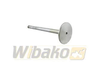 Zawór wydechowy TRW 22220