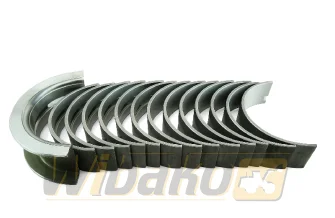 Panewki główne STD Kolbenschmidt 77798600