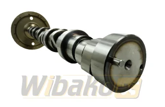 Wałek rozrządu BF Original 20100390601
