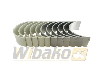 Panewki korbowodowe 0.25 Kolbenschmidt 77876610
