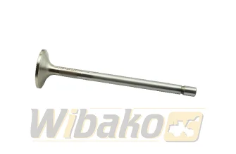 Zawór ssący TRW 160056