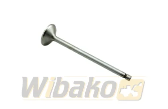 Zawór wydechowy TRW 160057