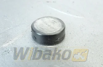 Nasadka zaworu głowicy do silnika Yanmar 3TNE74 104211-11370