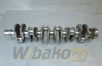Wał korbowy do silnika Deutz BF6M1013 04209125R