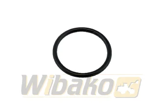 O-ring wtryskiwacza wbk 7381843 – nowy (2)