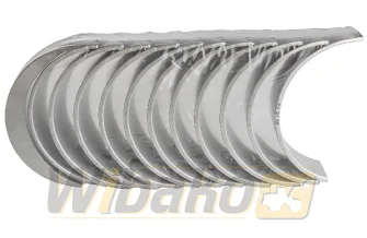 Panewki główne 0.25 Mahle D906/D916/D926 439HS21054025