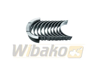 Panewki główne KMP 4BT3.9/6BT5.9 4955857
