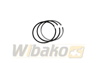 Pierścienie tłokowe Silnika wbk QSL/QSC 4089644