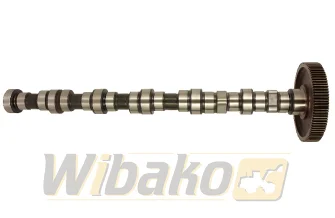 Wałek rozrządu BF Original 20100520136