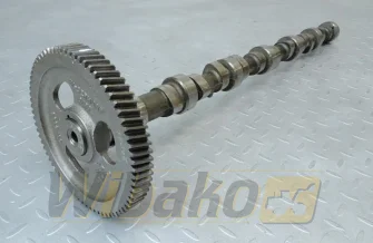 Wałek rozrządu do silnika Cummins 5.9 3914639