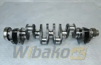 Wał korbowy do silnika Cummins 5.9 3907804