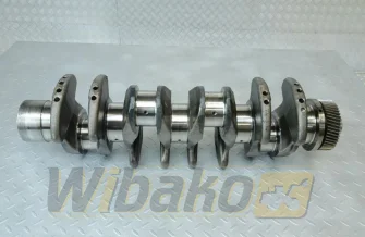 Wał korbowy Liebherr D934 S A6 9078103