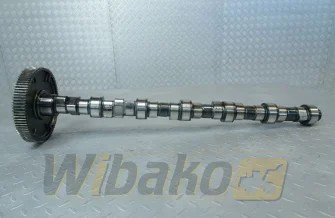 Wałek rozrządu do silnika Deutz TCD2013 L06 2V 04511872