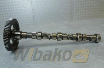 Wałek rozrządu do silnika Cummins 3.9 3929885