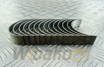 Panewki główne 0.25 KMP T418680