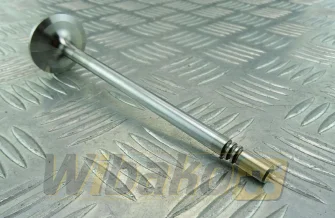 Zawór ssący TRW 22318