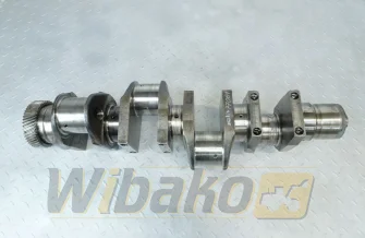 Wał korbowy do silnika Liebherr D9408 9075386