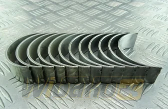 Panewki korbowodowe 0.25, 6 cyl. Kolbenschmidt 77824610