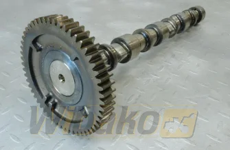 Wałek rozrządu do silnika Deutz TCD3.6 L4 04125160