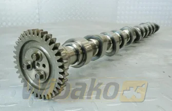 Wałek rozrządu do silnika Volvo Penta TAD870-73VE 21778944
