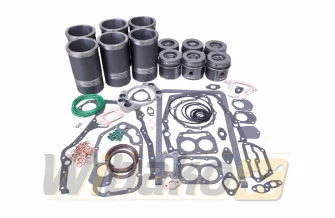 Zestaw naprawczy silnika Liebherr D926 A5 3 ORINGI 9884512 / 9884842 / 7382094