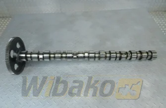 Wałek rozrządu do silnika Cummins LT10 3895809