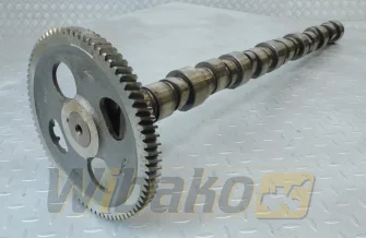 Wałek rozrządu do silnika Cummins M11 4059893