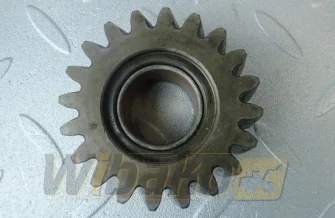 Koło zębate pompy oleju Z= 20 Perkins 3117A051