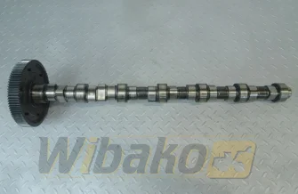 Wałek rozrządu do silnika Deutz TCD2013 L06 2V 04291070