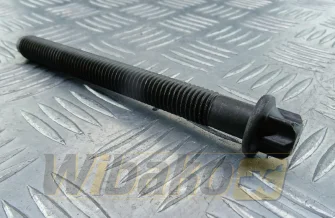 Śruba głowicy M14x2x140mm wbk 04202005