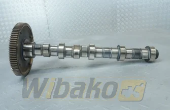Wałek rozrządu do silnika Deutz TCD2012 L04 2V 04511876