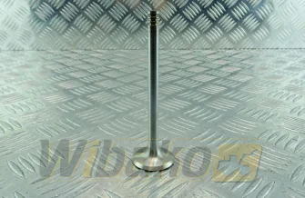 Zawór wydechowy 35x8x116.3mm, 45° TRW 22320