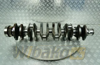 Wał korbowy Deutz 04501008