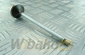 Zawór wydechowy 38x8x137.8mm, 45° TRW 105-35645